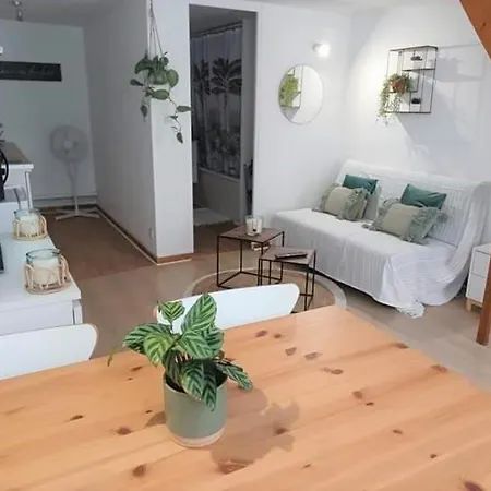 Duplex A La Gare Du Mans Bed & Breakfast *