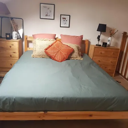 فندق مبيت وإفطار Duplex A La Gare Du Mans *