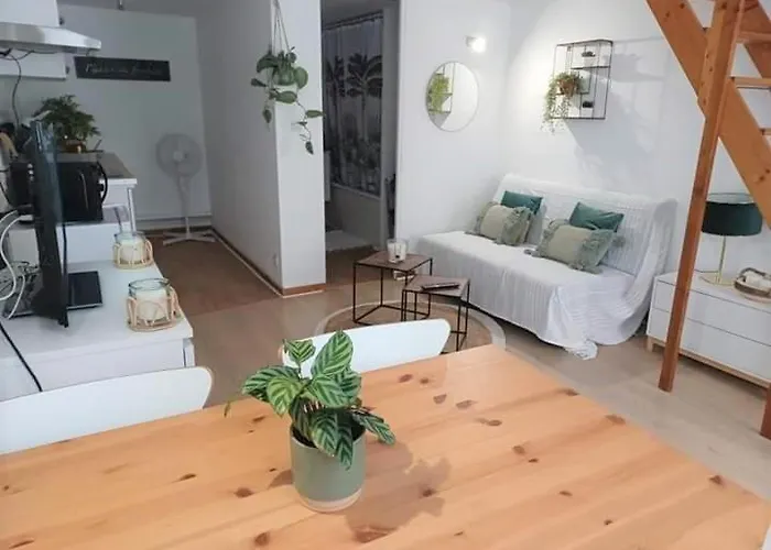 Duplex A La Gare Du Mans B&B *