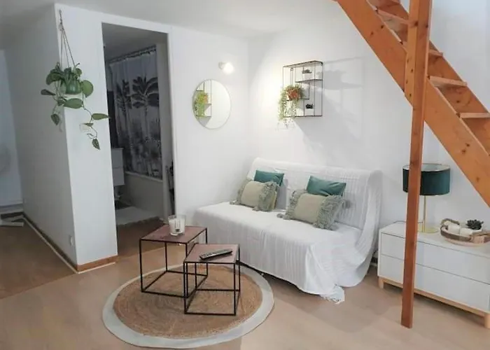 住宿加早餐酒店 Duplex A La Gare Du Mans *