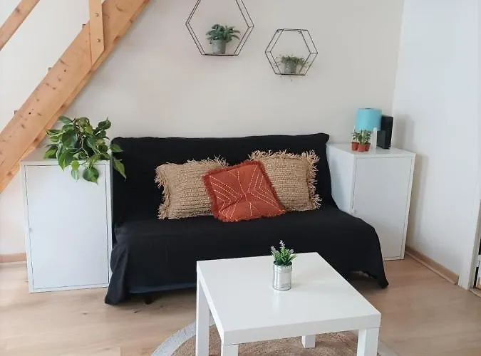 Duplex A La Gare Du Mans 勒芒