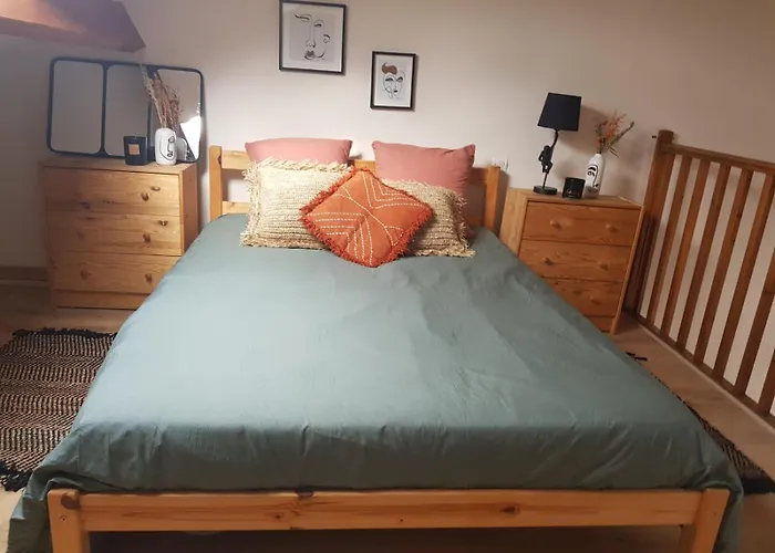 住宿加早餐酒店 Duplex A La Gare Du Mans *